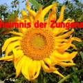 190612-das-geheimnis-der-zungensprache-2-a